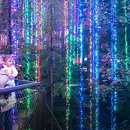 Garden Lights, Holiday Nights Member Premiere