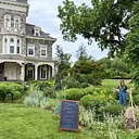 Garden Drop-in