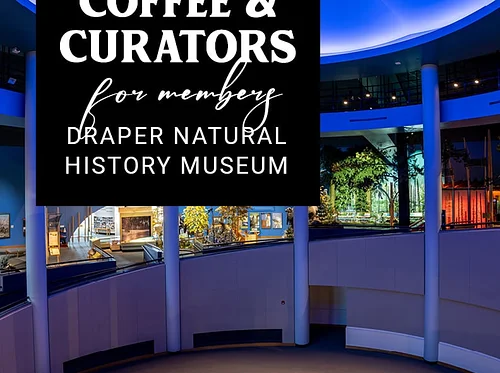 Coffee & Curators: Draper Natural History Museum