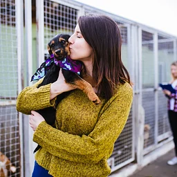 Puppy School | 4-week course