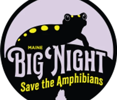 Maine Big Night: Amphibian Migration Monitoring