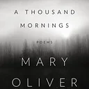 A Thousand Mornings