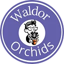 Waldor Orchids