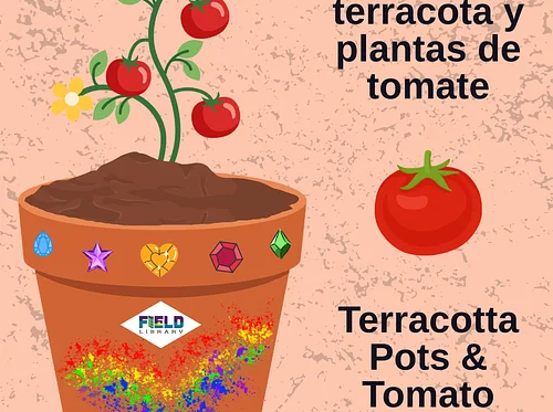 Terracotta Pots & Tomato Plants