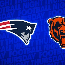 PATRIOTS VS BEARS
