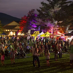 Fiddlehead’s FallFest