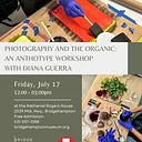 Partnership Program – Photography and the Organic: An Anthotype Workshop with Diana Guerra at Bridgehampton Museum