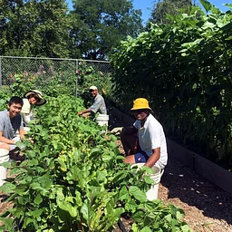Farm Community Volunteer Days