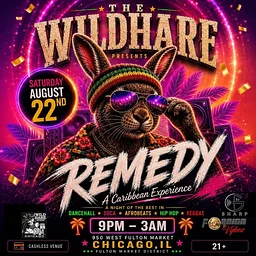 DJ G Sharp & DJ Fucha - REMEDY
