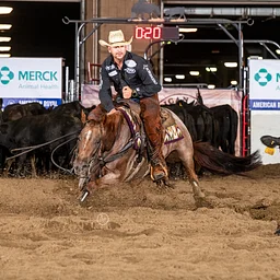 Cutting Horse Show