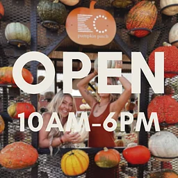 Fall Festival {ticketed, family-friendly}