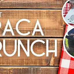 Alpaca Brunch
