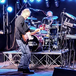 Live Music: Zebra Mussels