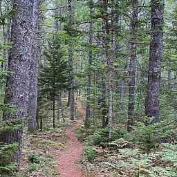 Guided hike on the River~Link Trail – RESCHEDULED