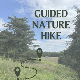 Guided Nature Hike