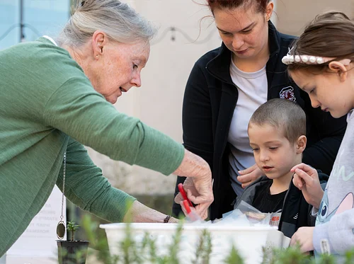 Family Day – Pretty Pollinators