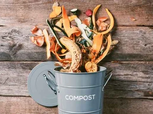 Junior Naturalist: Compost Conquest  