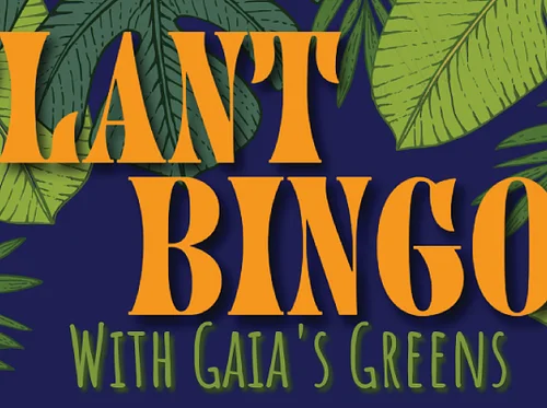Plant Bingo