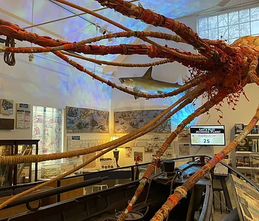 The Whaling Museum presents Robert & Roberta Appreciation Month