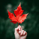 Rooted in Wellness: Nourish through Nature