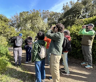 Bird Curious: Birding in the Garden