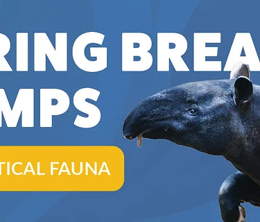 Spring Break Camp – Fantastical Fauna (SOLD OUT)