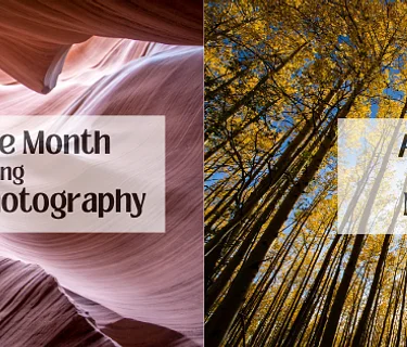 Artist of the Month: David Cook Photography