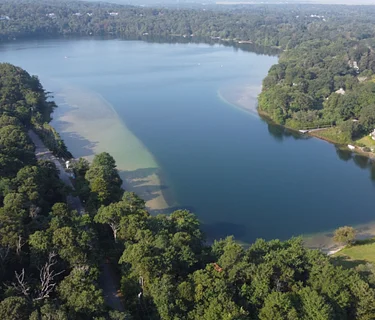 Pond Ecology Matters: Biodiversity and Its Role in Pond Health
