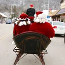 Annual Christmas in Peterson