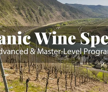 Germanic Wine Specialist™