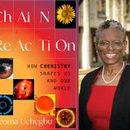 Literary Thursdays: Ijeoma Uchegbu, Auth...