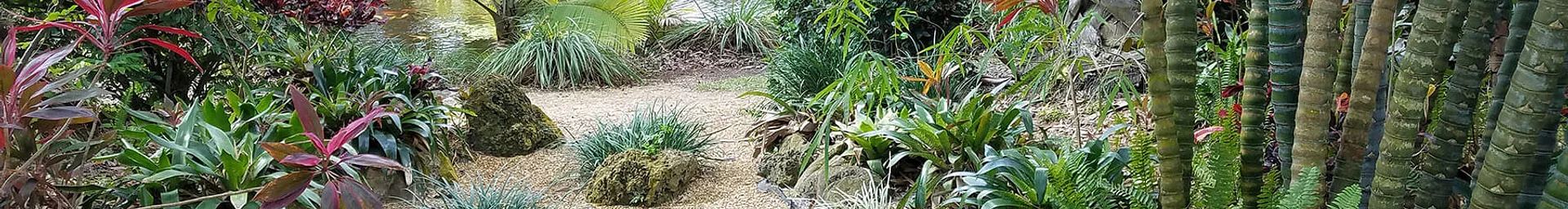 Mounts Botanical Garden 