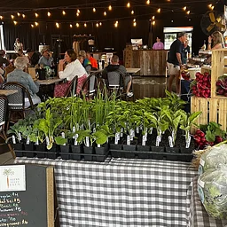 Thursday Farmer’s Market