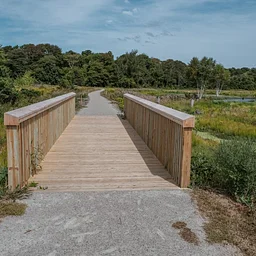 Cold Brook Eco-Restoration Tour