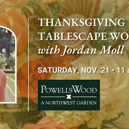 Thanksgiving Tablescape Workshop with Jordan Moll