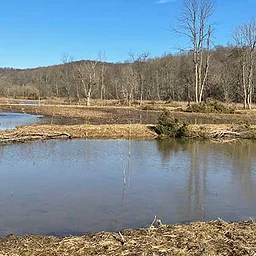 Backcountry Discovery Hike & Tour