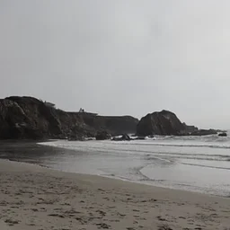 Beach Cleanups - Van Damme & Hare Creek!