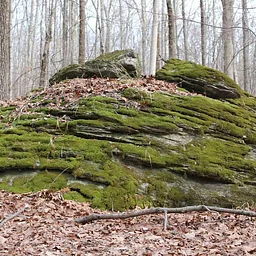 Geology of Stone Hill