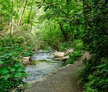 Thirst For Good: A Toast To The Trees & The NC Arboretum