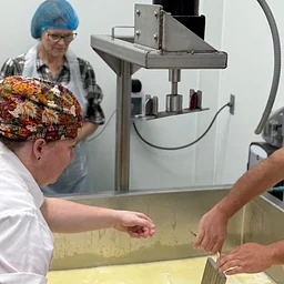 Advanced Cheese Making Class - Milled Curd (Cheddar Style)