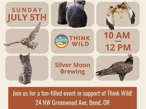 Think Wild Not’Cho Grandma’s Bingo