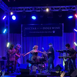 LIVE Music: Brittney & the BSides