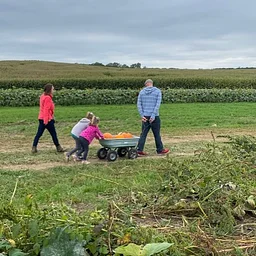 U-Pick Pumpkin Patch