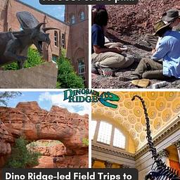 Fireside Chat: Paleo Trips to Utah, Connecticut, Massachusetts, and New York City!
