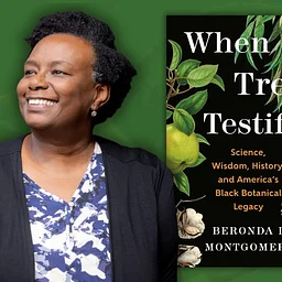 LSC Virtual Author Talk: Beronda Montgomery
