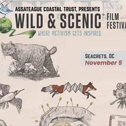 Wild & Scenic Film Festival