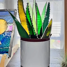 Stained Glass Snake Plant Edition