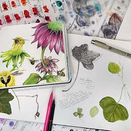 Introduction to Nature Journaling Fall