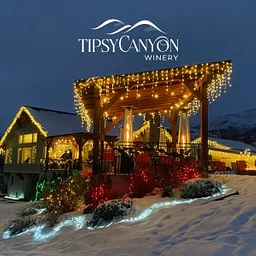 Flip The Switch – Holiday Lighting Event with Live Music: Elaine Eagle