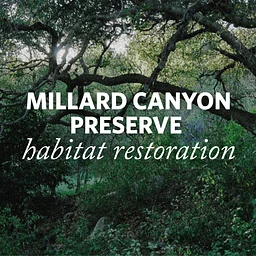 Millard Canyon Preserve Habitat Restoration